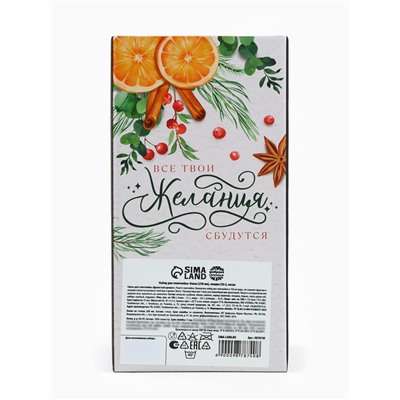 Подарочный набор для приготовления глинтвейна «Чудесного Нового года»: бокал 250 мл., специи 30 г, носки 36-39 размера