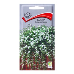 Семена цветов Бакопа "Снежная лавина", 5шт