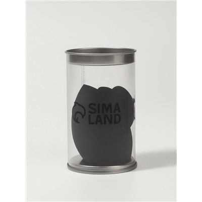 Спонжи для макияжа, в футляре, 2 шт., чёрные