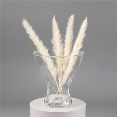 Ваза «Тексел», 1.6 л, 18×17 см, стекло, прозрачная