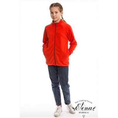 Толстовка М222083ВШд