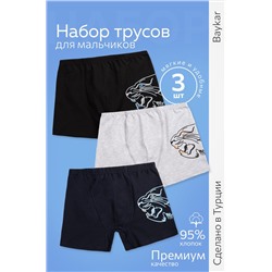 Трусы для мальчика 3шт. Baykar