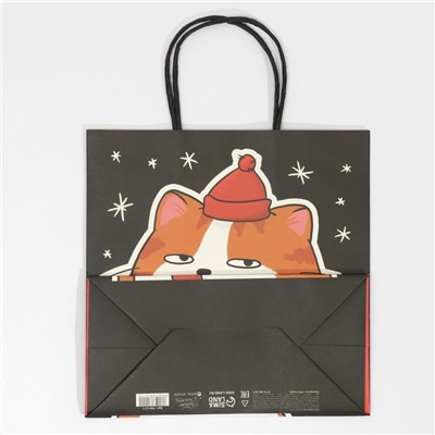 Пакет подарочный новогодний «Счастье», 22×22×11 см