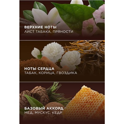 Парфюмированный гель для душа Tobacco & Vanilla