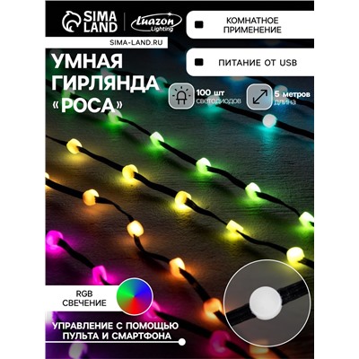 Умная гирлянда «Нить» 5 м роса с насадками «Шарики», IP20, черный провод, 100 LED, пульт ДУ, приложение, свечение RGB, USB
