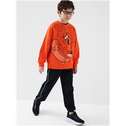 Толстовка трикотажная для мальчиков