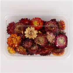 Свеча своими руками. Создание цветных свечей с цветочным декором «Краски Осени», набор для творчества