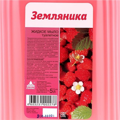 Мыло жидкое туалетное Ника «Земляника», канистра, 5 л