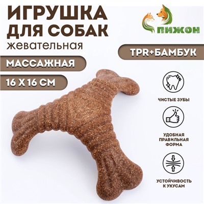 Жевательная игрушка для собак ПИЖОН «Треугольная кость», массажная, 16×16