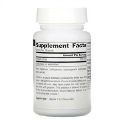 Source Naturals, экстракт прополиса, 500 мг, 60 капсул