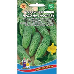 8017N Огурец Чудо на засол F1 10шт