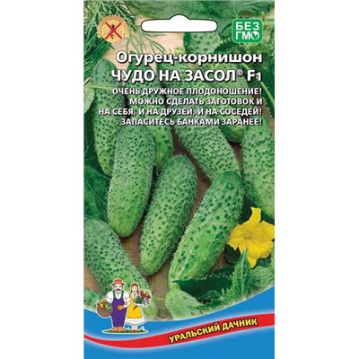 8017N Огурец Чудо на засол F1 10шт