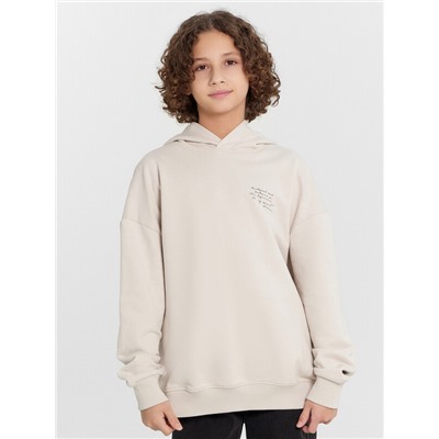 ХУДИ ДЛЯ МАЛЬЧИКОВ 123416