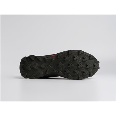 Кроссовки Salomon Alphacross 5 GTX
