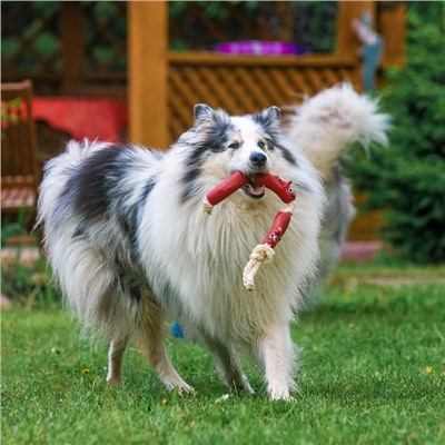 Игрушка для собак «3 сосиски», 50 см, на канате, винил, цвет МИКС