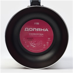Сковорода Доляна Promo, d=16 см, пластиковая ручка, антипригарное покрытие, алюминий, бордовая