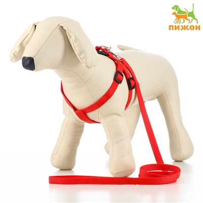 Комплект «Базис», поводок 120×1.5 см, шлейка 32-46×1.5 см, красный