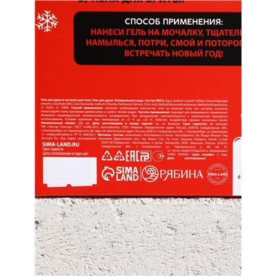 Подарочный набор новогодний «Ничего», гель для душа 250 мл и мочалка для тела, Чистое счастье