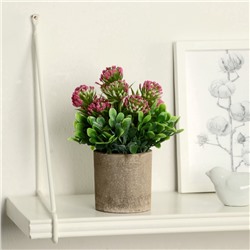 Искусственный цветок в горшке «Агапантус», 8×18 см, МИКС