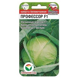 Капуста бк Профессор F1 (Сиб Сад)