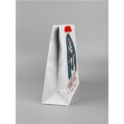 Пакет подарочный крафтовый, «С Новым годом», 30×26×9 см