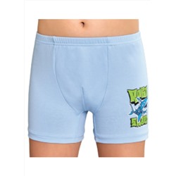 Трусы для мальчика Berrak