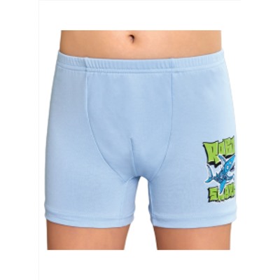 Трусы для мальчика Berrak