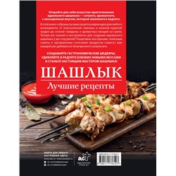 АСТ Садыков Тимур "Шашлык. Лучшие рецепты маринада"