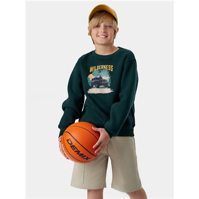 ШОРТЫ ДЛЯ МАЛЬЧИКОВ 133344