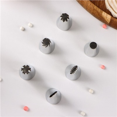 Набор насадок кондитерских Доляна, d=2 см, 6 шт., форма МИКС