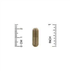 Organic India, тулси и базилик священный, положительная реакция на стресс, 90 вегетарианских капсул