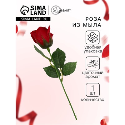 Мыльная роза бордо в коробке