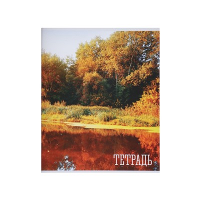 Комплект тетрадей, 48 листов в клетку, Calligrata «Времена года», серые листы, 4 штук