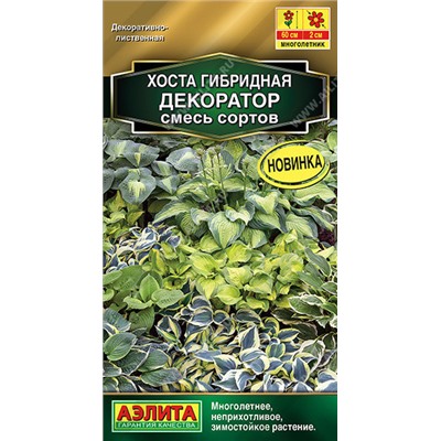 1885A Хоста Декоратор, смесь сортов 5 шт