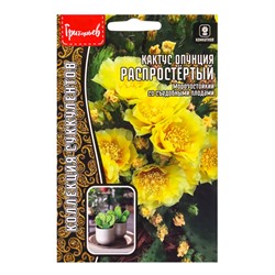 Семена цветов Кактус Распростёртый опунция 4 шт. / НОВИНКА  12.29 г.