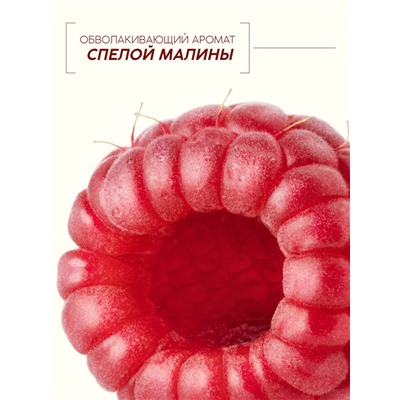Шампунь для волос, питающий уход, аромат малины, 250 мл, Рябина