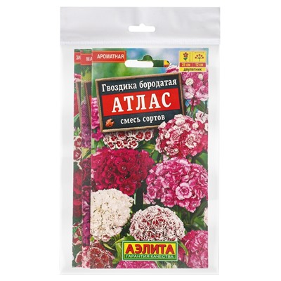 Набор семян цветов Гвоздика турецкая многолетняя