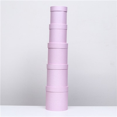 Набор круглых подарочных коробок 5 в 1 «Пыльная роза», 20×20 - 15×15