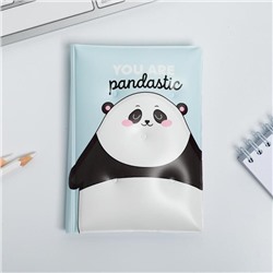 Подарочный набор новогодний обложка на паспорт и ежедневник антистресс Pandastic winter!