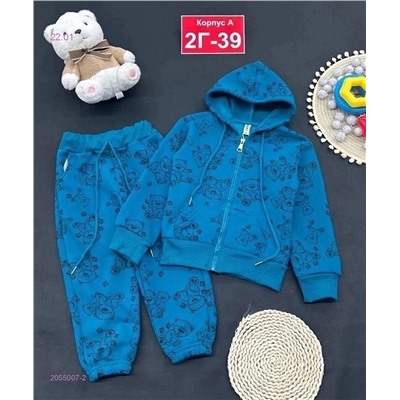 костюм с начесом 2055007-2