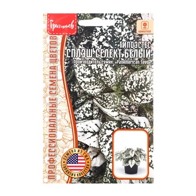 Семена цветов Гипоэстес Сплэш Селект Белый (Splash Select White)(PanAmerican Seed) 4шт.  12.29 г. 10