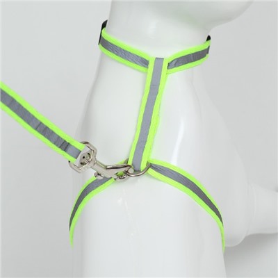 Комплект для кошек светоотражающий, ширина 1 см, шлейка 21-35 см, поводок 120 см, зелёный