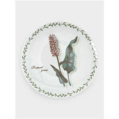 Тарелка фарфоровая «Ботаника», d=20 см