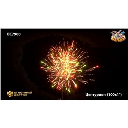 Фейерверк ОС7901 Центурион (1,1" х 99)