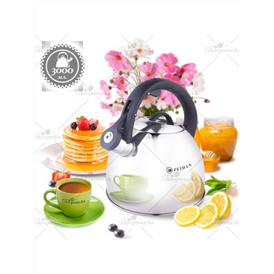 ZEIDAN Чайник Z-4430