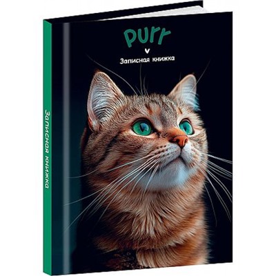 Записная книжка А7 48л "ЗЕЛЕНОГЛАЗЫЙ КОТИК - 1" глянц.лам. 48-8633 Проф-Пресс