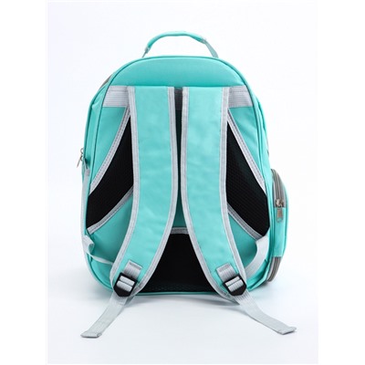 Рюкзак для переноски животных, 31×28×42 см, прозрачный, бирюзовый