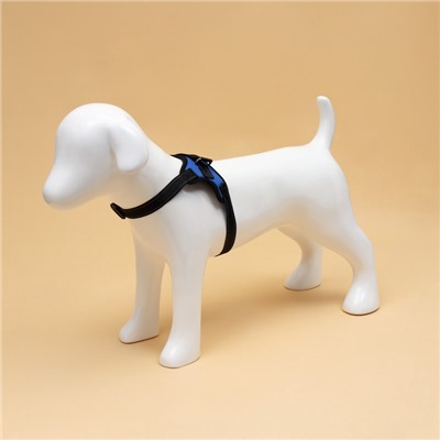 Шлейка К7 мягкая светоотражающая, размер S, ОГ 44-55 см, вес 5-9 кг, синяя