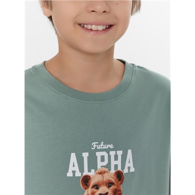 КОМПЛЕКТ ДЛЯ МАЛЬЧИКОВ (ДЖЕМПЕР, ШОРТЫ) 563327