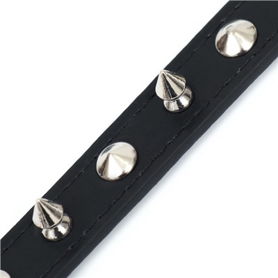 Ошейник с шипами «Лион», 45×2 см, ОШ 34-40 см, искусственная кожа, чёрный